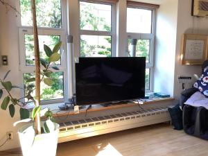 TV a/nebo společenská místnost v ubytování 民泊 B&B yoshida