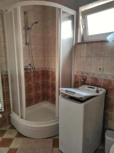 Koupelna v ubytování Apartman Anita