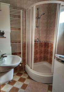 Koupelna v ubytování Apartman Anita