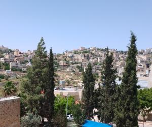 B&B at Palestinian home / Beit Sahour في بيت لحم: اطلاله على مدينه فيها اشجار ومباني