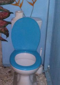 a blue toilet with a blue seat in a bathroom at Pension Te Nahetoetoe in Parea