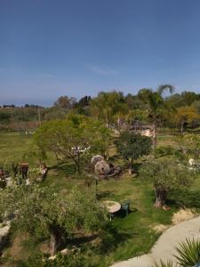 un parco con alberi e cespugli e un campo di agriturismo heaven a Capo Vaticano