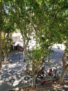Hostia v ubytovaní Rambla Palma Center