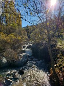 rzeka z kamieniami i drzewem na pierwszym planie w obiekcie Las Tejeruelas Casa Rural w mieście Navacepedilla de Corneja