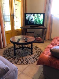 sala de estar con mesa de centro y TV en "Clair de Lune" Gîte avec 6000 m2 de terrain clos et arboré, en Largentière