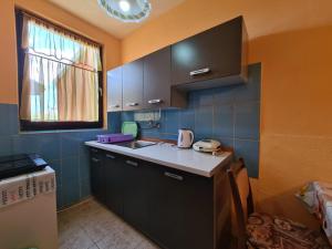 eine kleine Küche mit einem Waschbecken und einem Fenster in der Unterkunft Apartments Zlatko 1397 in Štinjan