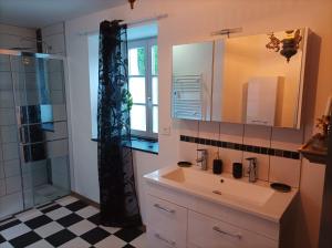 a bathroom with a sink and a shower and a mirror at La maison du meunier in Autigny-la-Tour