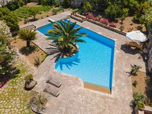 an overhead view of a swimming pool with a palm tree at Samos Wine Factory Guesthouse Villa in Karlovasi