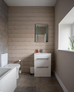 a bathroom with a sink and a toilet and a mirror at Heritage Cottages Dundrum in Dundrum