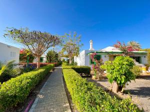 Gallery image of Bungalows Cordial Sandy Golf in Maspalomas