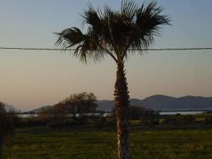 Gallery image of Salt Lake Sunset Tigaki in Marmari