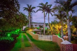 ein Haus mit grüner Beleuchtung in einem Hof mit Palmen in der Unterkunft Ferme équestre des Avirons in Les Avirons
