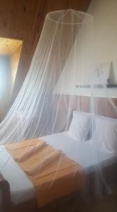 um quarto com uma cama e uma rede mosquiteira em Ferme équestre des Avirons em Les Avirons