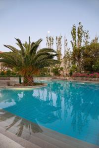 a swimming pool with a palm tree in the background at Samos Wine Factory Guesthouse Villa in Karlovasi