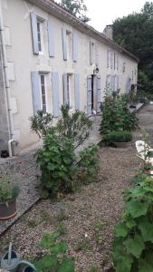 una casa con algunas plantas delante de ella en Chambre de caractere, en Celles