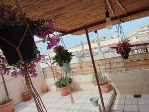 een balkon met potplanten op een dak bij Casa Antica in Fasano