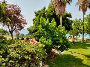 A garden outside Residence Araba Fenice Tropea