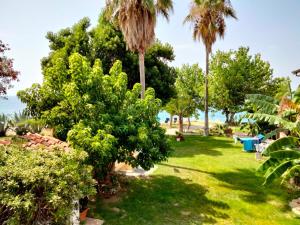 A garden outside Residence Araba Fenice Tropea