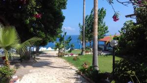 un chemin menant à une plage avec des palmiers et une maison dans l'établissement Residence Araba Fenice Tropea, à Tropea
