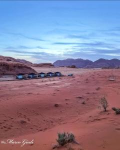 a desert with a group of houses in the desert at Discover the life of Wadi Rum camp in Wadi Rum +44 photos