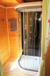 een douche in een kleine kamer met bij ARIA in Sviščaki