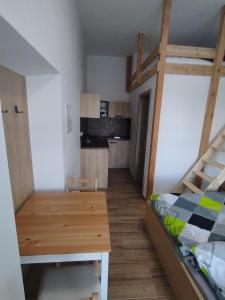 ein kleines Zimmer mit einem Etagenbett und einer Küche in der Unterkunft Ubytování Zahrada in Velké Pavlovice