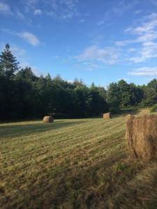 ein Feld voller Heuballen auf einem Feld in der Unterkunft SlashDindonneau in Chirac