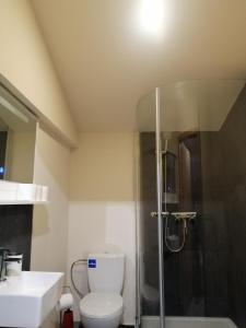 uma casa de banho com um WC, um chuveiro e um lavatório. em High guests comfort and satisfaction in 2 double bedrooms with private bathroom em Kerkrade