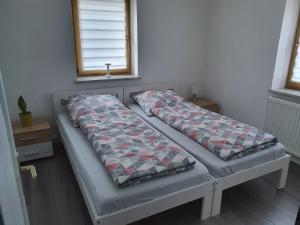 two beds sitting next to each other in a room at Ferienwohnung Bei Vogel in Geroldsgrün