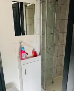 een badkamer met een douche, een wastafel en een spiegel bij Green Lantern, Private En-suite Double Bedroom in Aveley