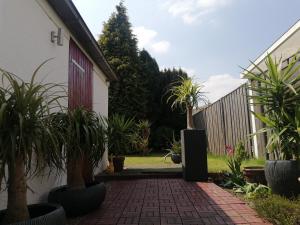 um pátio com vasos de plantas em frente a uma casa em High guests comfort and satisfaction in 2 double bedrooms with private bathroom em Kerkrade