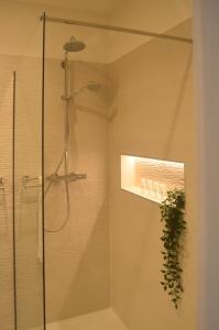 a shower with a glass door and a plant at Apartment Céleste - Directly on the Beach in Mošćenička Draga