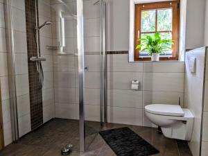 a bathroom with a shower and a toilet and a window at Ferienwohnung Aus-Zeit auf dem Lande in Bad Gottleuba +26 photos