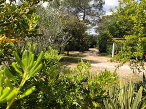 a garden with bushes and trees and a dirt road at Domaine Sagittaires in Le Cannet-des-Maures