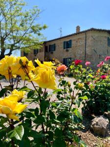 a garden filled with lots of flowers in front of a house at La Fornace Di Racciano in San Gimignano