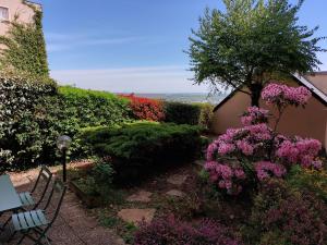 罗德兹Le DenysPuech 55m2 plein centre avec jardin!的花园,花园内有长凳和粉红色的花卉和灌木