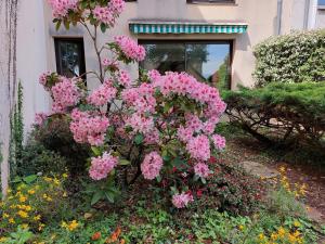 Le DenysPuech 55m2 plein centre avec jardin!外面的花园
