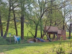 una cabra parada junto a un patio de juegos en un campo en Ferienwohnungen Hof Heiderich, en Beerfelden