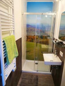 a bathroom with a shower and a sink and a window at Ferienhaus Rhöner Auszeit in Kaltenwestheim