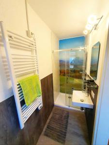 a bathroom with a shower and a sink and a mirror at Ferienhaus Rhöner Auszeit in Kaltenwestheim