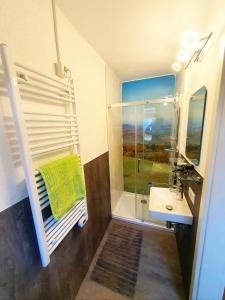 un bagno con doccia, lavandino e specchio di Ferienhaus Rhöner Auszeit a Kaltenwestheim Altre 32 foto