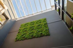 eine grüne Pflanze auf dem Boden eines Gebäudes in der Unterkunft Hôtel Le Picardy in Saint-Quentin