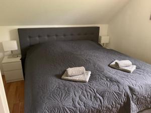 ein Schlafzimmer mit einem Bett mit zwei Kissen darauf in der Unterkunft Neuhaus Deichperle in Krummhörn