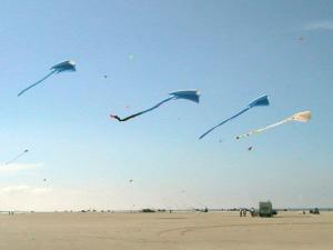 ファーンにあるHoliday Home Golfvejen IIの海上を飛ぶ凧
