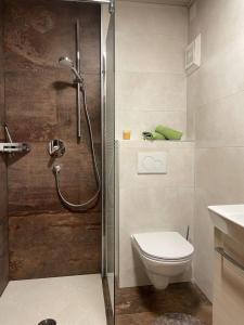 a bathroom with a shower with a toilet and a sink at Apartment Schwarzenegg by Interhome in Wagrain