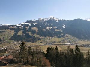 Příroda nedaleko prázdninového domu + 34 fotografií