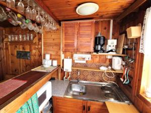 Kuchyň nebo kuchyňský kout v ubytování Chalet Vesec by Interhome