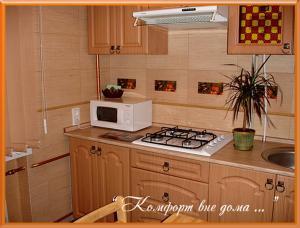 kuchnia z kuchenką mikrofalową i kuchenką piekarnik w obiekcie Apartments Zatyshok w mieście Czernihów