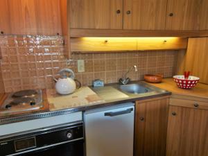 een keuken met een wastafel en een vaatwasser bij Apartment Alpen Roc by Interhome in Chamonix-Mont-Blanc