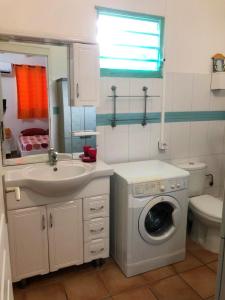 a bathroom with a washing machine and a sink at Appartement cosy avec terrasse et jardin à Sainte-Anne, 35 m² in Sainte-Anne